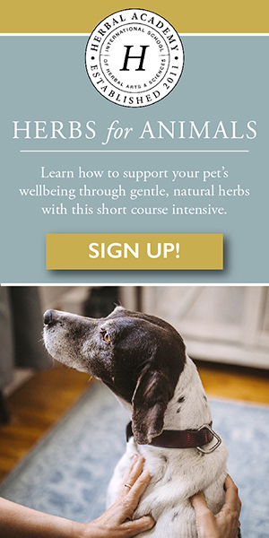 Discover the herbal holistic approach for animals!