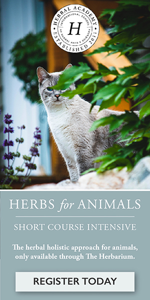 Support your pet's wellbeing with herbs, only through The Herbarium