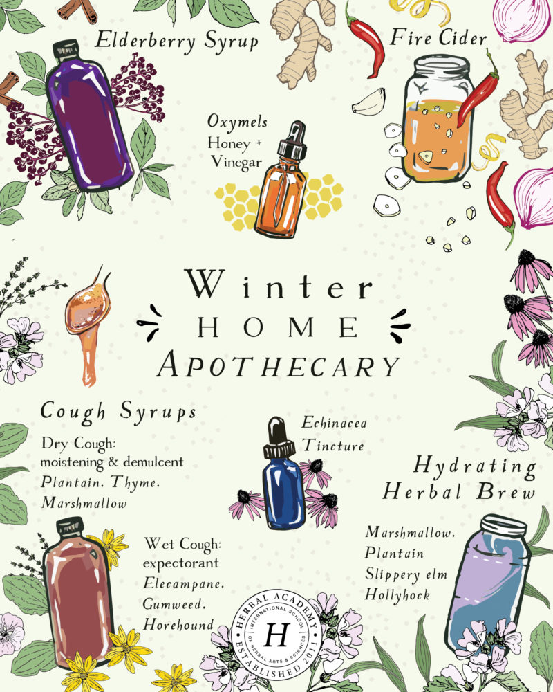 How To Stock Your Winter Home Apothecary: Herbal Allies For Colder Months | Herbal Academy | Learn how to stock your winter home apothecary with herbal allies for colder months. When illness arrives, you'll be prepared with seasonal herbal support!