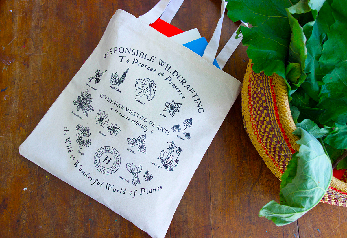 Plant Steward Tote Bag by the Herbal Academy's gift guide