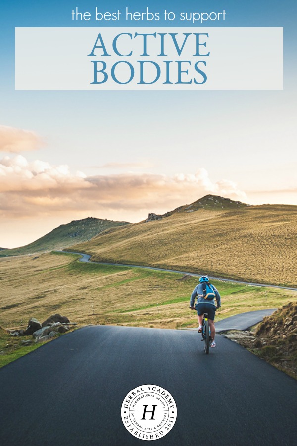 The Best Herbs To Support Active Bodies | Herbal Academy | Whether you are an elite athlete, avid yogi, or casual hiker, learn about some herbs to support active bodies—addressing nourishment, energy, and recovery. 