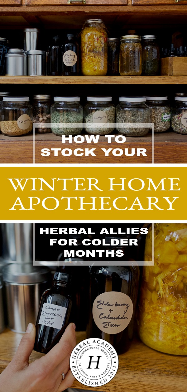 How To Stock Your Winter Home Apothecary: Herbal Allies For Colder Months | Herbal Academy | Learn how to stock your winter home apothecary with herbal allies for colder months. When illness arrives, you'll be prepared with seasonal herbal support!