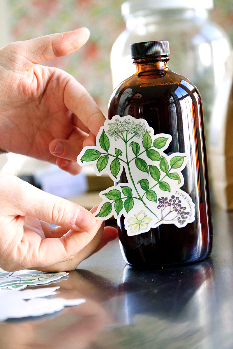 Herbal sticker set, one of our favorite gifts for herbalists