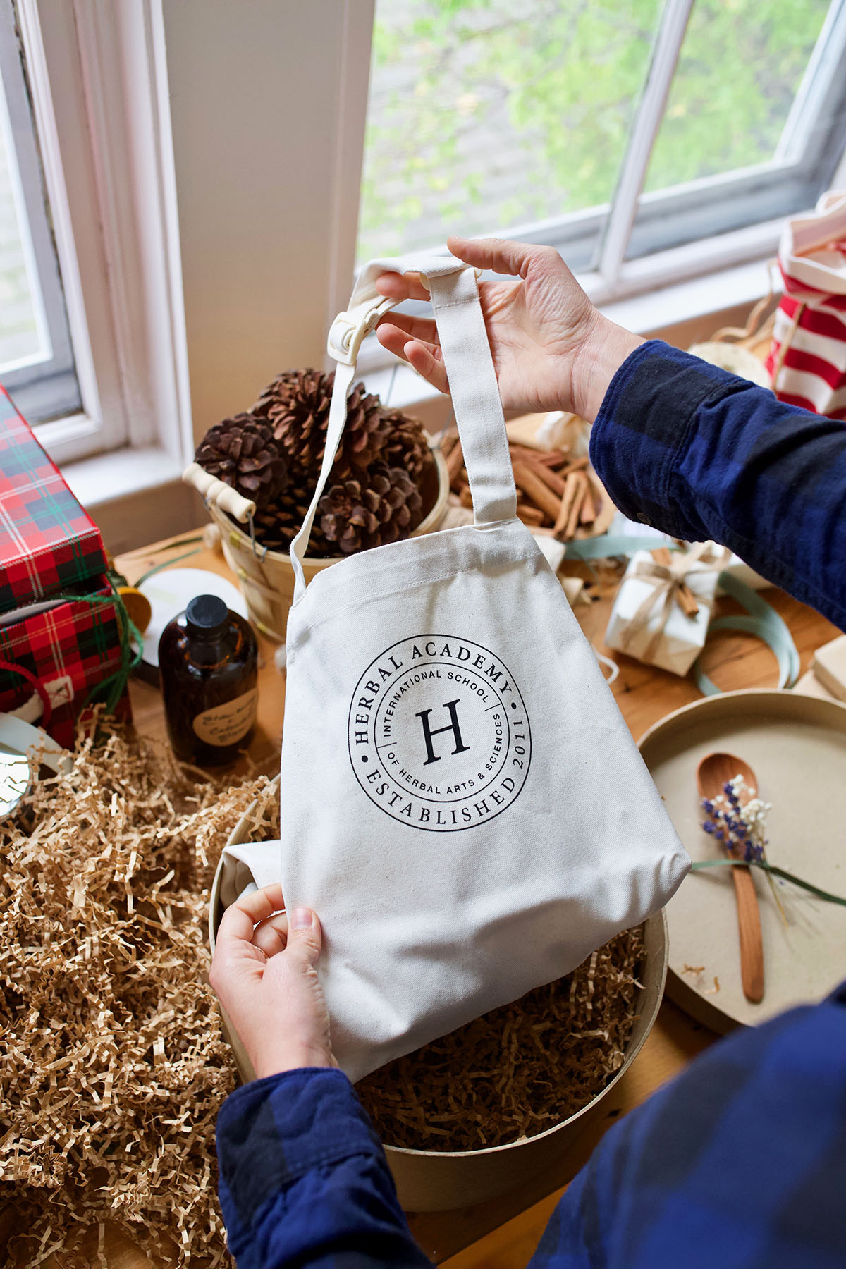 7 Gifts Ideas For The Herbalist Who Is Just Getting Started | Herbal Academy | The holidays will be here before you know it! Here are 7 beginner herbalist gift ideas for the person who is just getting started on their herbal journey!