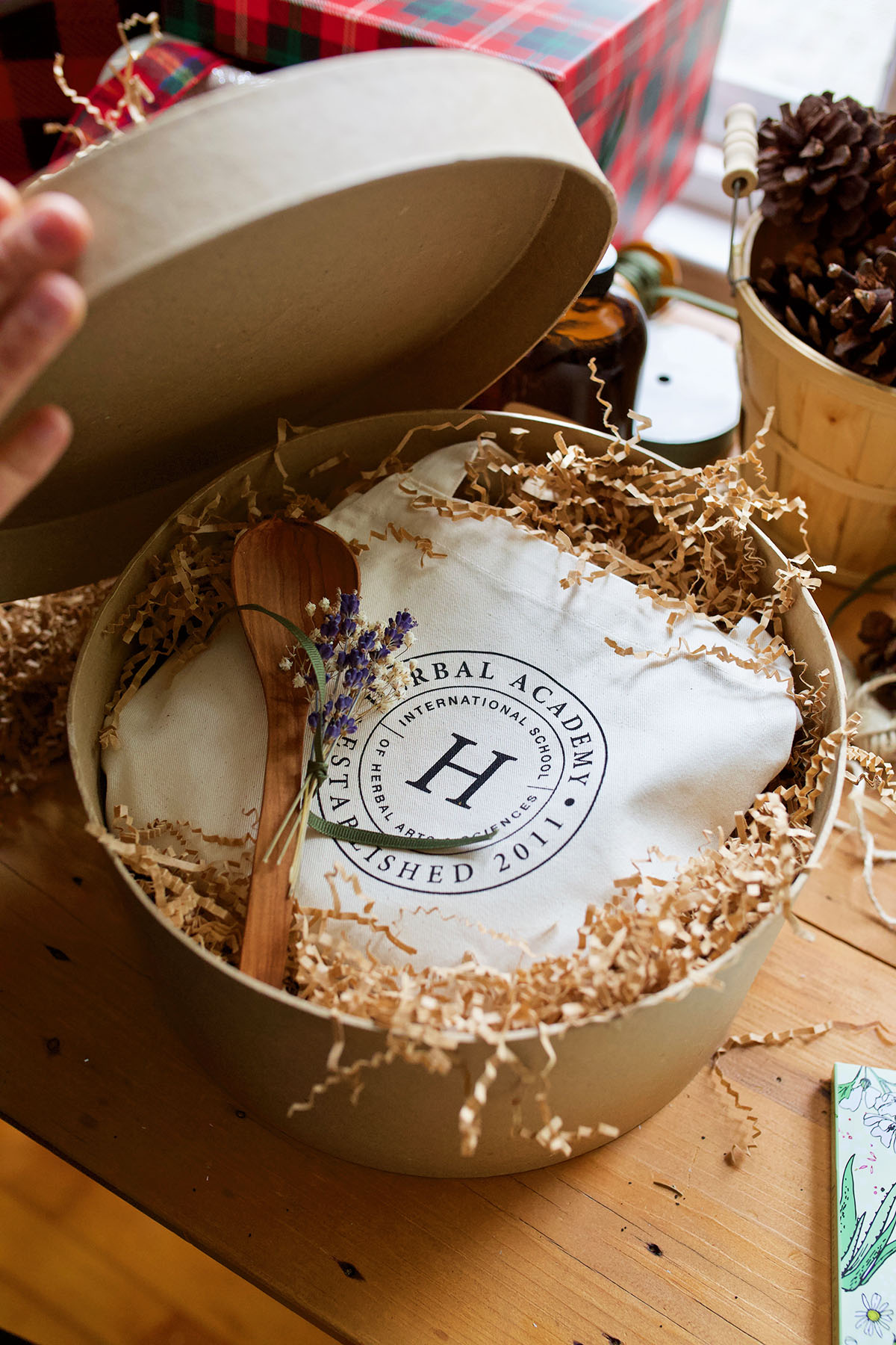 7 Gifts Ideas For The Herbalist Who Is Just Getting Started | Herbal Academy | The holidays will be here before you know it! Here are 7 beginner herbalist gift ideas for the person who is just getting started on their herbal journey!