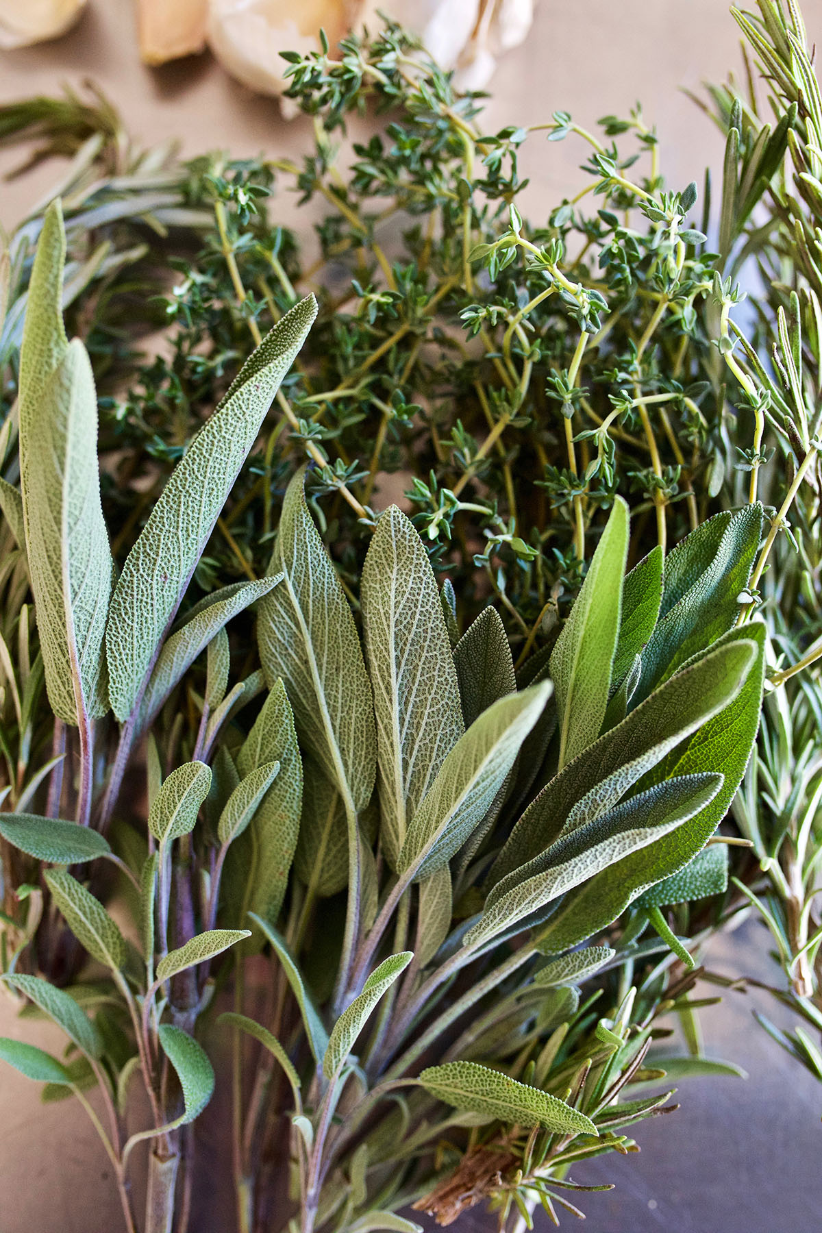 close up of herbs to make an herbal vinegar