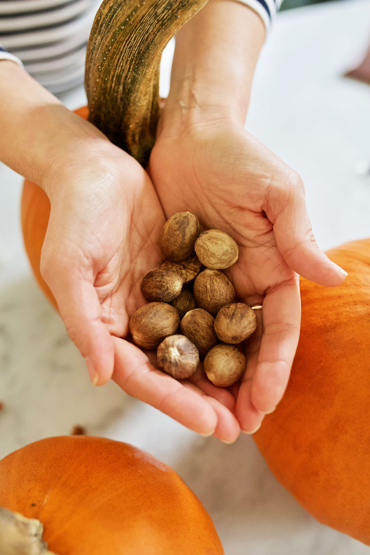 Pumpkin Spice Wellness Benefits You Should Know About | Herbal Academy | Fall equals pumpkin spice season! Learn about pumpkin spice wellness benefits and how to bring that true pumpkin spice flavor into your everyday life.