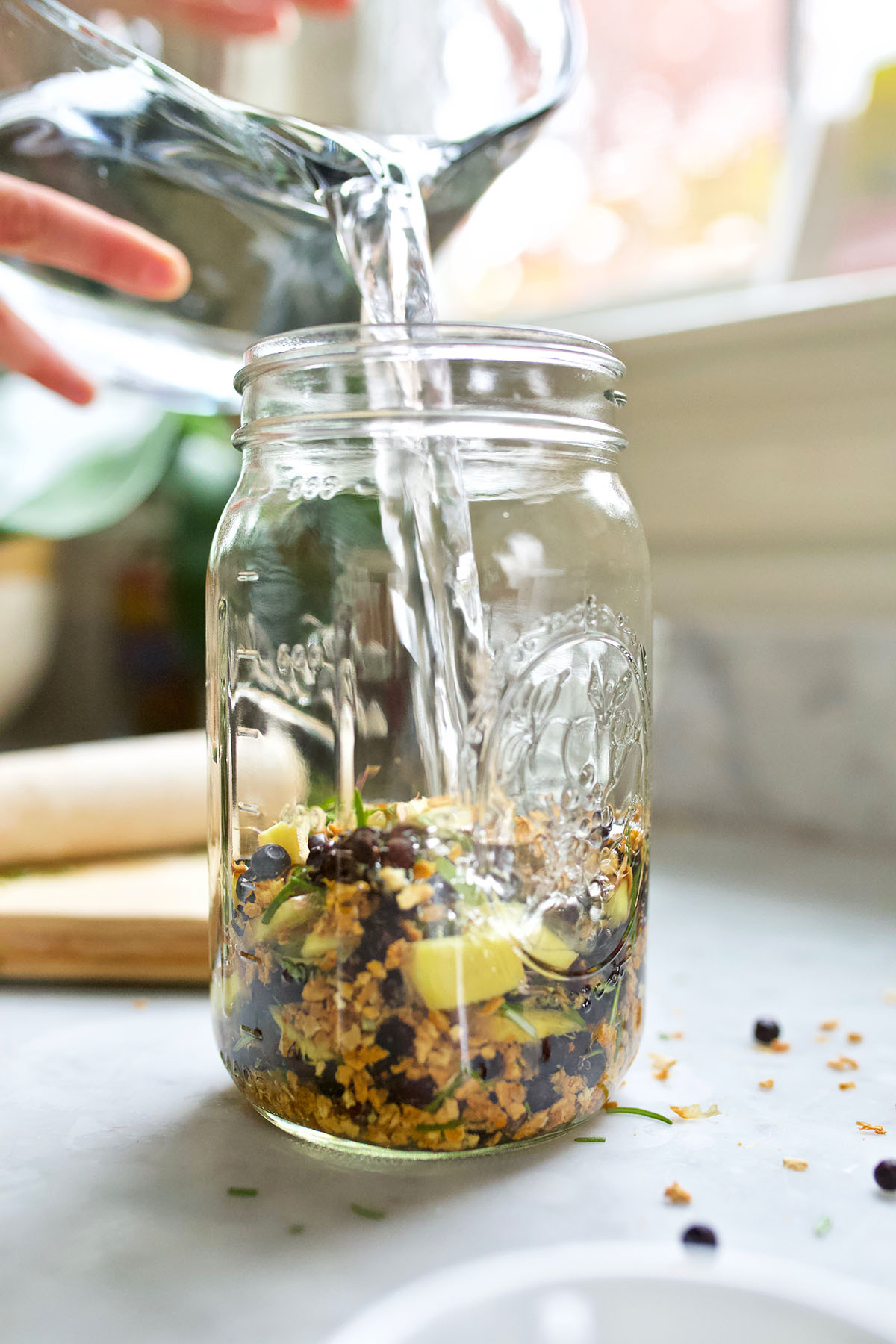 3 Conifer Cordial Recipes for Winter Wellness | Herbal Academy | Learn about three different types of conifer trees and their wellness benefits, as well as how to use them in three conifer cordial recipes! 