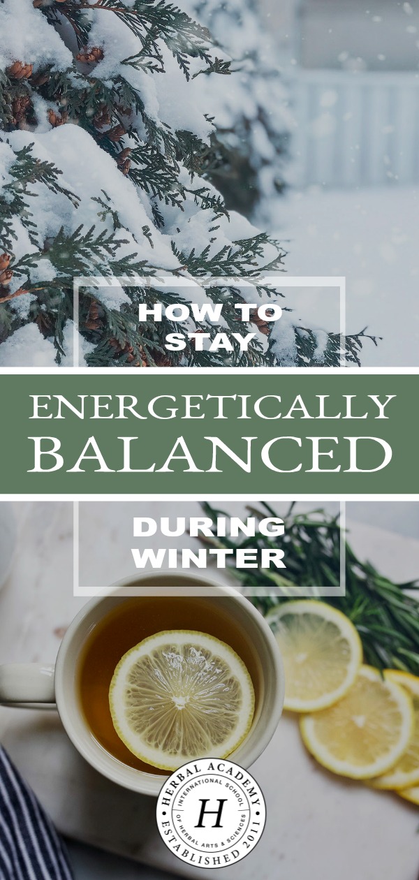 How To Stay Energetically Balanced During Winter | Herbal Academy | Stay energetically balanced during winter with foods, herbs, and lifestyle choices that will help you stay well and vibrant through the season ahead. 