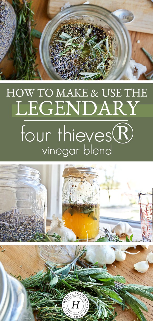 How to Make and Use the Legendary Four Thieves Vinegar Blend | Herbal Academy | Ever heard of the Four Thieves Vinegar blend? Come learn the folklore surrounding this blend, how it's used to support wellness, and how to make it.