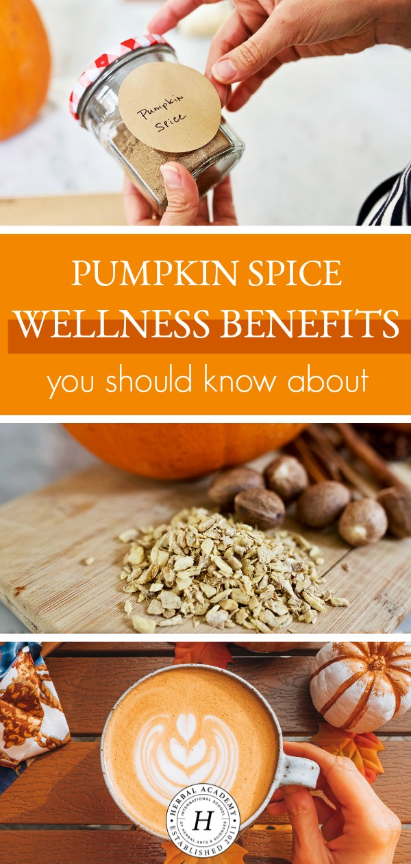 Pumpkin Spice Wellness Benefits You Should Know About | Herbal Academy | Fall equals pumpkin spice season! Learn about pumpkin spice wellness benefits and how to bring that true pumpkin spice flavor into your everyday life.