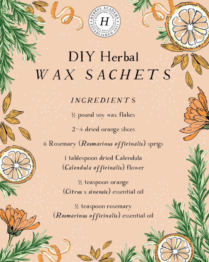 DIY Herbal Wax Sachets for the Home and Gifting | Herbal Academy | Learn to make DIY herbal wax sachets. These little treats will freshen the air without the use of chemicals and make the perfect herbal holiday gift!