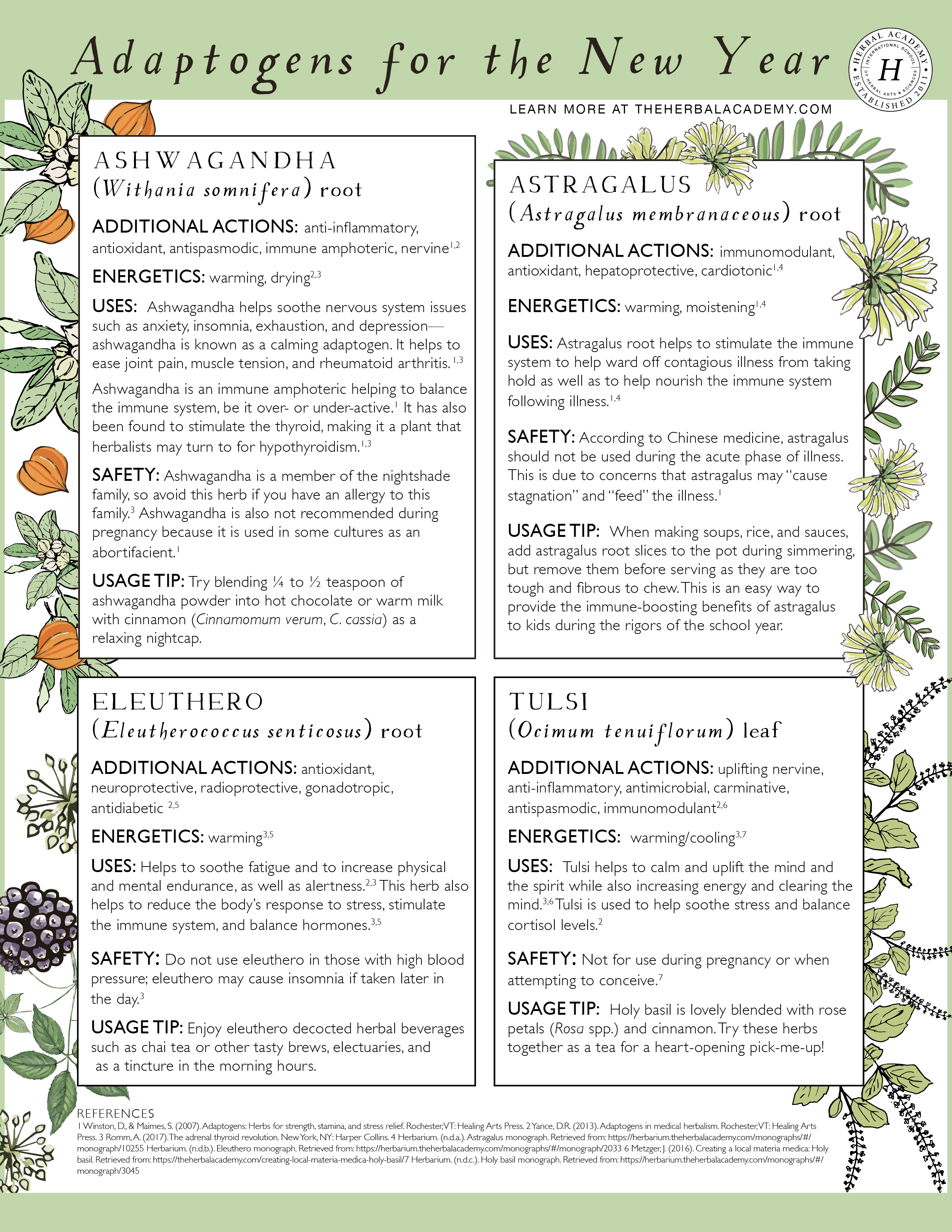 How to Ring in the New Year with Herbs | Herbal Academy | Learn how to embrace wellness during the new year with herbs as part of a holistic paradigm.