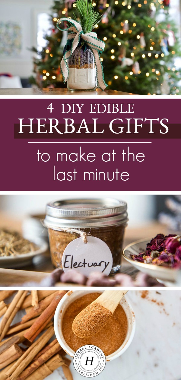 4 DIY Edible Herbal Gifts To Make At The Last Minute | Herbal Academy | For last-minute gift making, create edible herbal gifts such as delicious salts and sugars and yummy treats like electuaries and herbal cookies-in-a-jar.