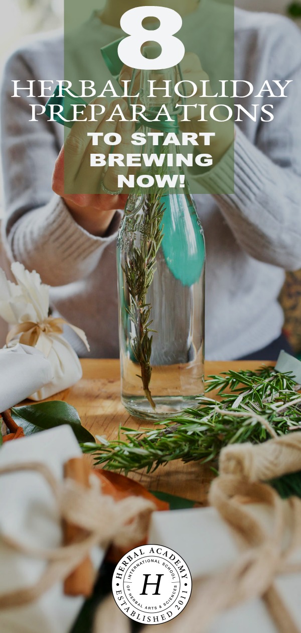 8 Herbal Holiday Preparations to Start Brewing Now! | Herbal Academy | Now is the time to get started making herbal gifts that require time to brew! Here are eight of our favorite herbal holiday preparations to start now.