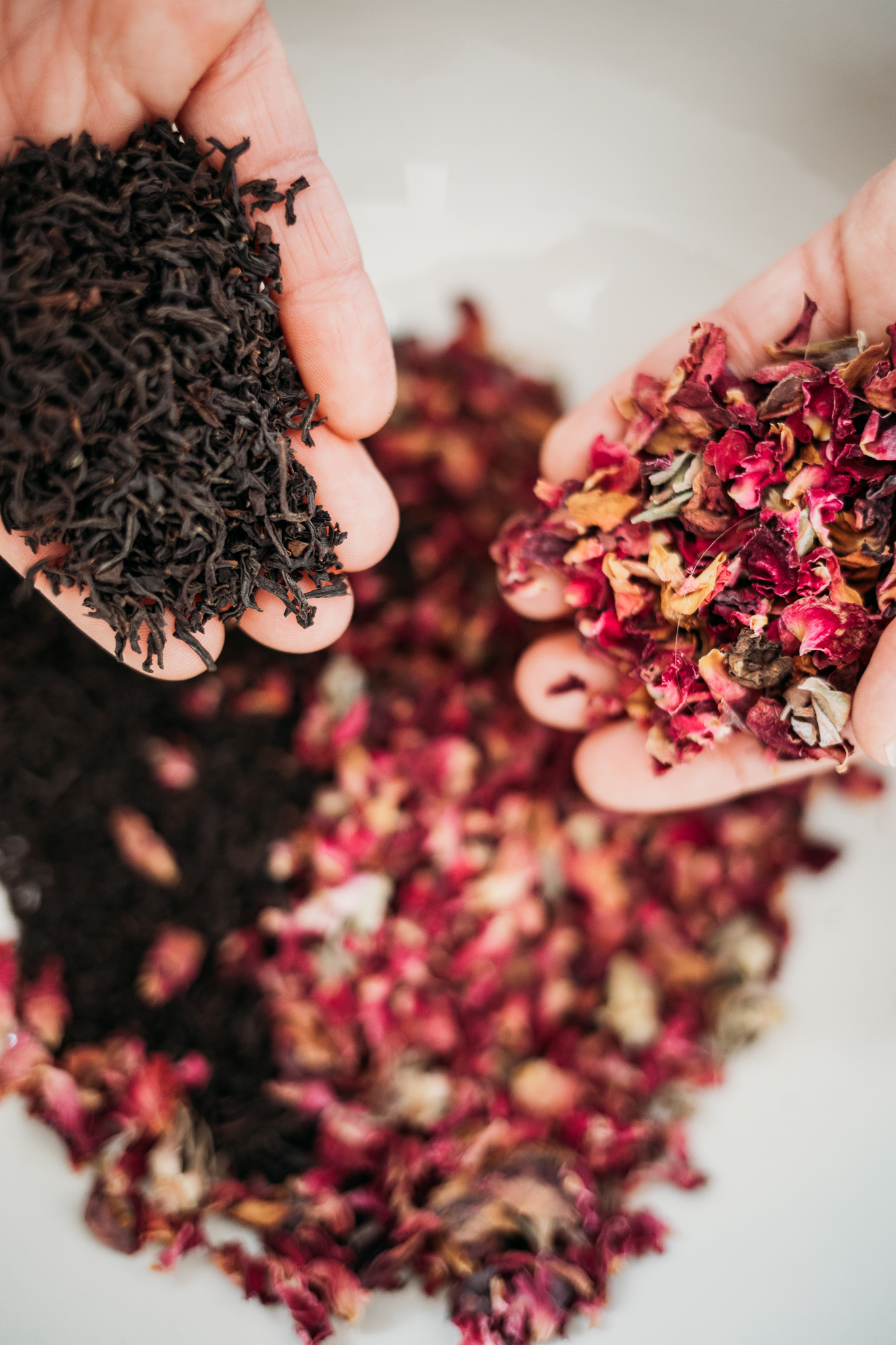 4 Common Types of Tea To Know & How To Use Them | Herbal Academy | Learn about four different but common teas, including black, green, white, and herbal teas, as well as various ways to use and enjoy these types of tea.