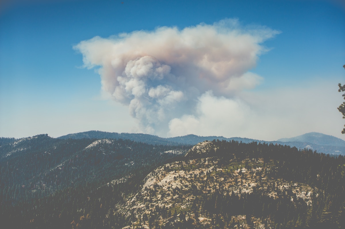 smoke hovering in air over forest