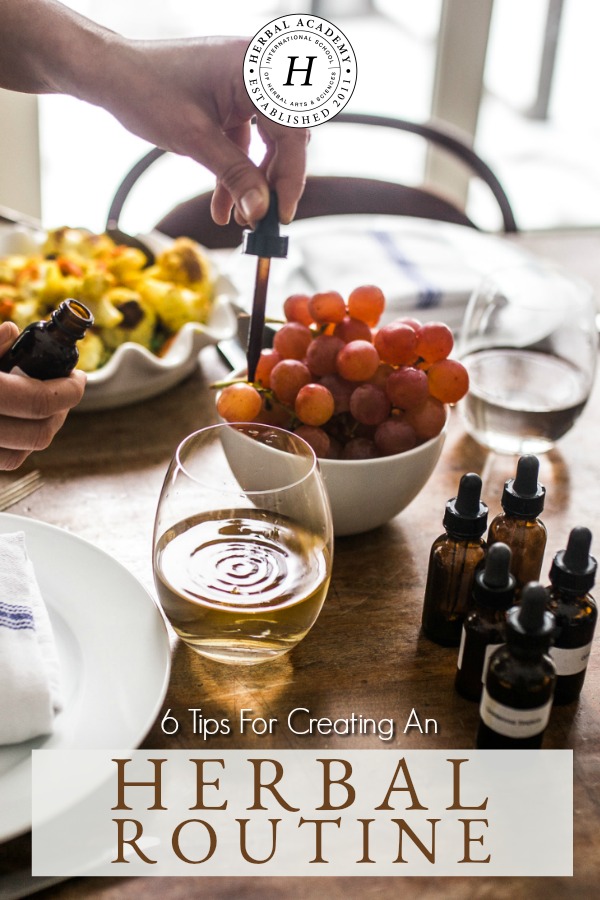 6 Tips For Creating An Herbal Routine | Herbal Academy | Learn how to create an herbal routine that allows you to integrate herbal supports and other wellness practices into your daily life with greater ease.