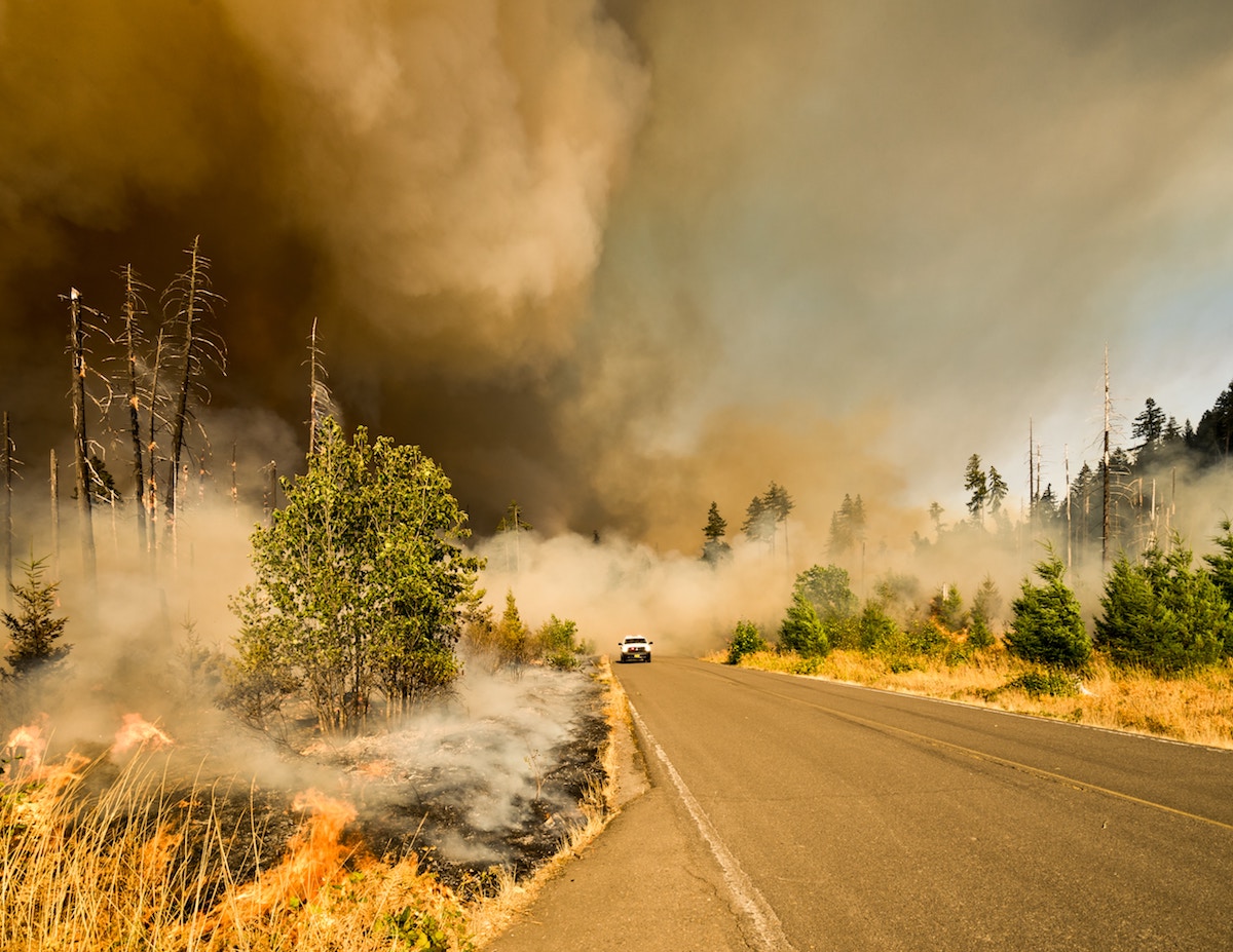 car driving down road while grass burns and smoke fills air