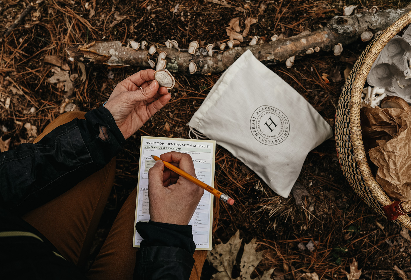 mushroom foraging kit