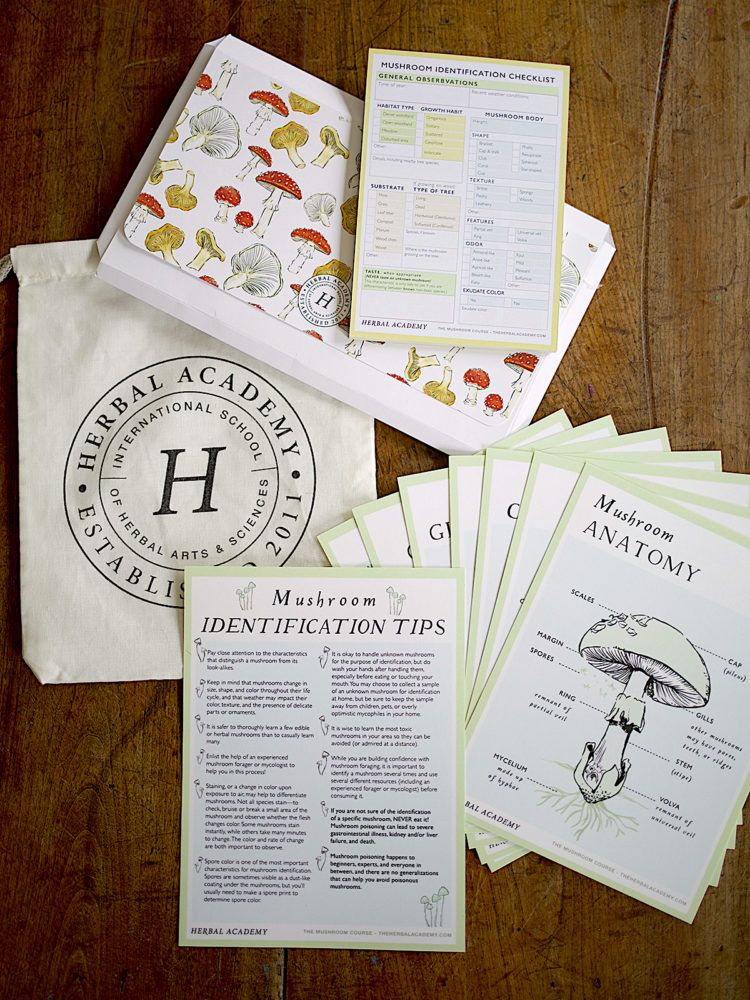 Mushroom Foraging Kit Herbal Academy