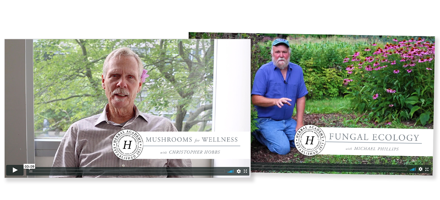 Mushroom course videos for herbal academy The Mushroom Course