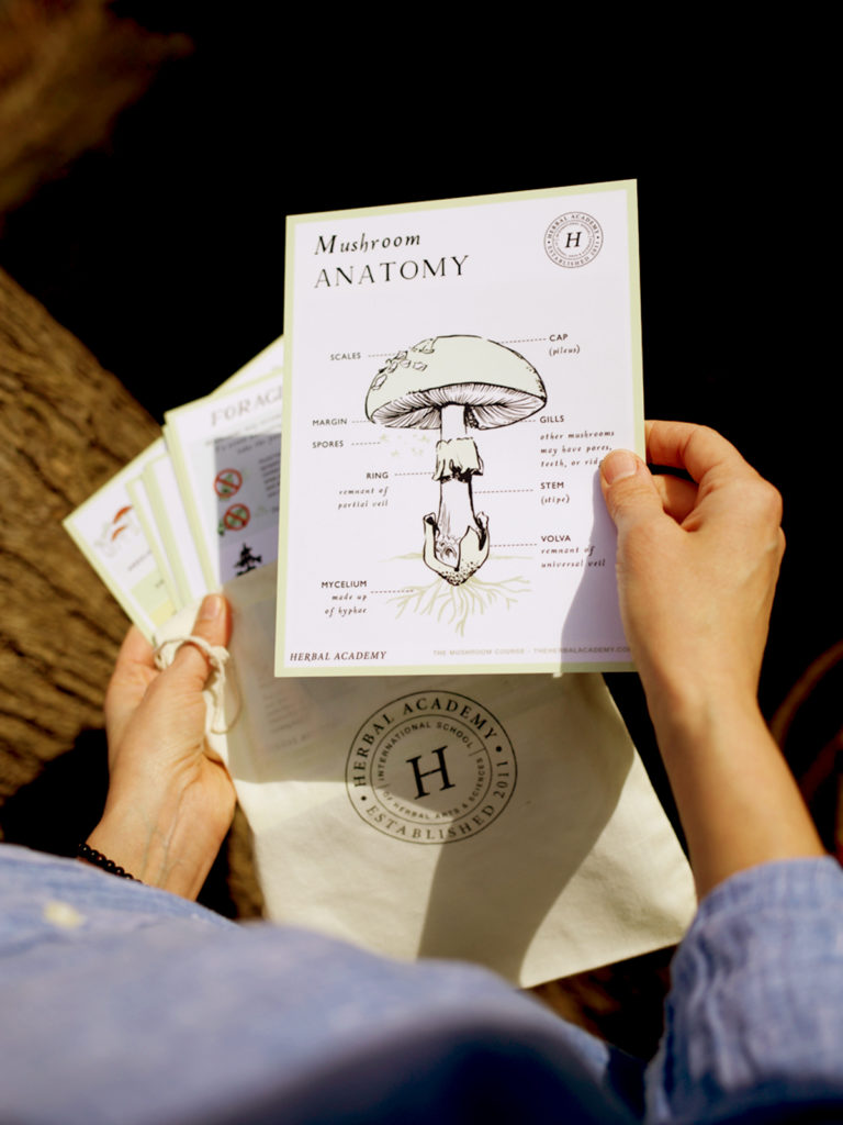 Mushroom Foraging Kit Herbal Academy