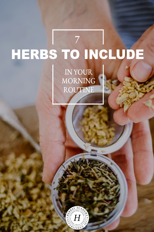 7 Herbs to Include in Your Morning Routine | Herbal Academy | Starting your day with a well-planned morning routine that incorporates herbs can help to set the tone for your day. Here's how to make it happen! 