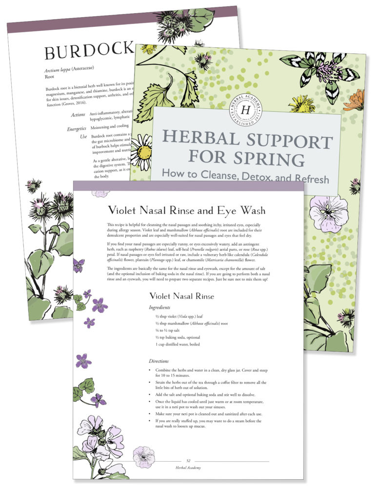 Herbal Support for Spring - Detox and refresh Ebook by Herbal Academy