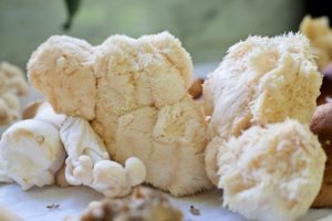 Lion's Mane Mushroom: What You Should Know | Herbal Academy | Lion's mane (Hericium erinaceus) mushroom is most recognized for its important work in supporting brain function, memory, and mood.