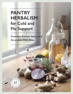 Pantry Herbalism for Cold and Flu Support: Free eBook | The Herbal Academy | In our FREE Pantry Herbalism ebook, you’ll find monographs and recipes for spices, foods, and backyard herbs that you likely already have at home.