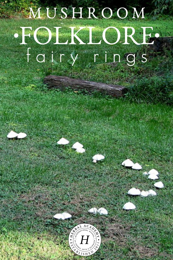 Fairy Tale Mushroom Ring