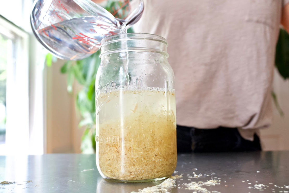 Best Herbs for Lungs and Respiratory Support