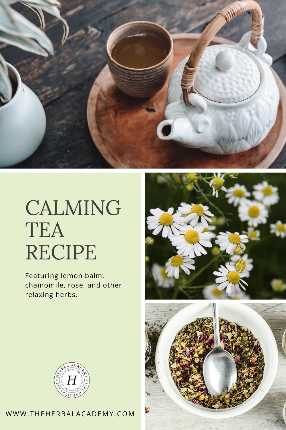 Calming Tea Recipe & Natural Stress Management (With Video!) | The Herbal Academy | Simple lifestyle practices to go-to formulas, like our Calming Tea Recipe, can help us better manage and cope with stress naturally.