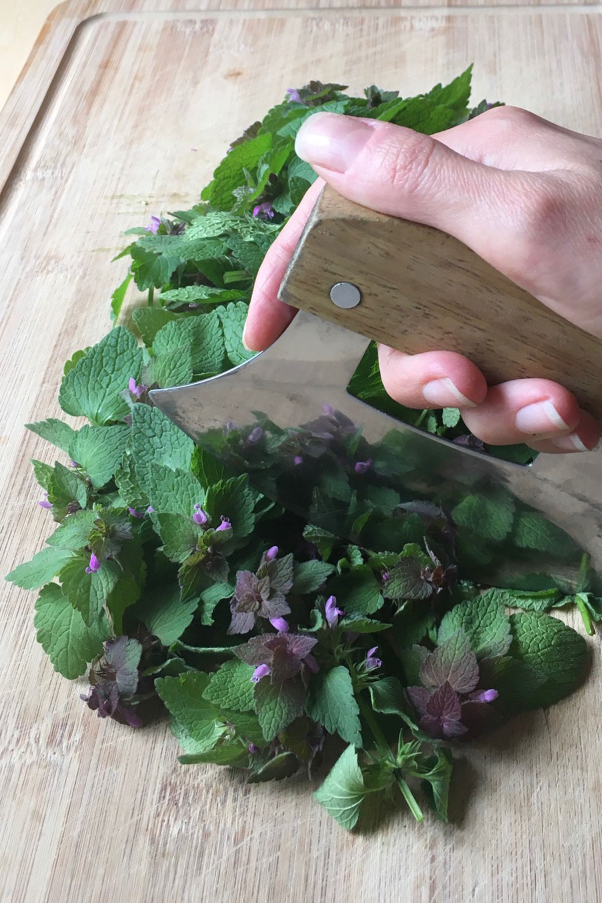 Purple Dead Nettle: Nutrition and Recipes | Herbal Academy | If you enjoy foraging, then purple dead nettle (Lamium purpureum) is a wonderful plant to become acquainted with through these two simple recipes.