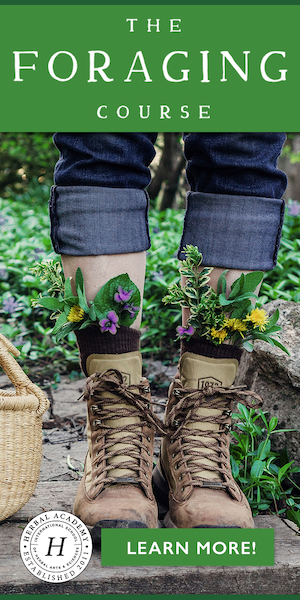 Enroll in The Foraging Course this season for only $39!