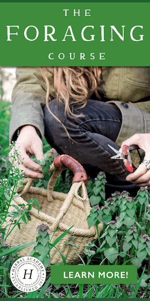 Enroll in The Foraging Course this season for only $39!