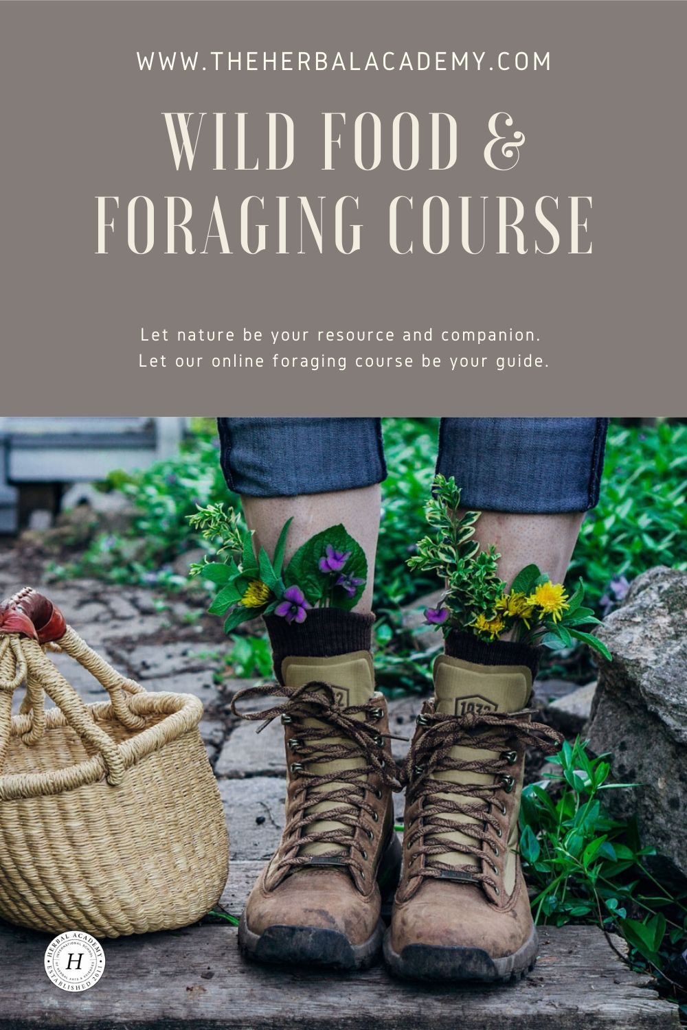 Introducing Our NEW Foraging Class! | Herbal Academy | To make the most of sweet summertime, we’ve got just the challenge to keep you engaged and exploring all season long: a foraging class!