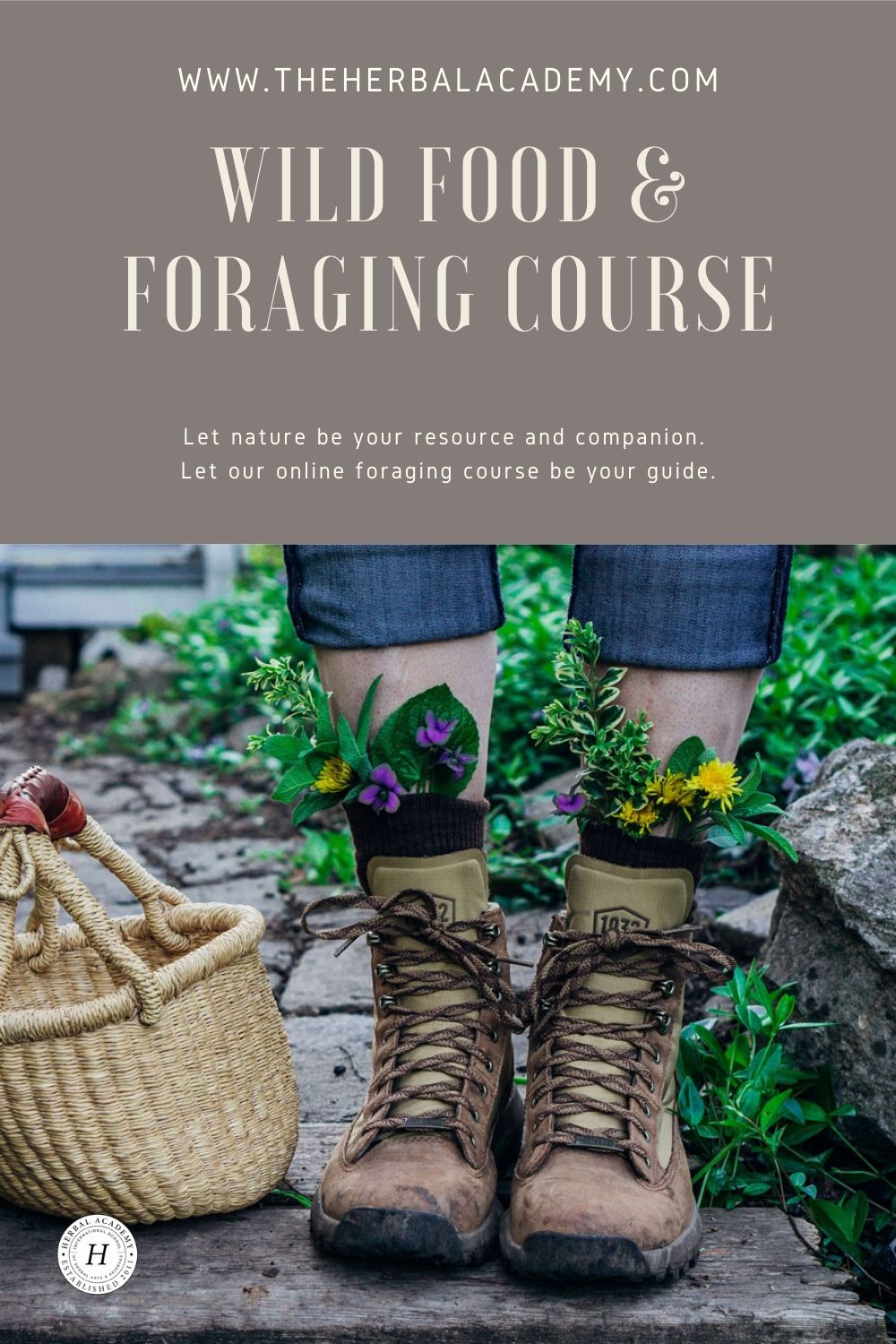 Introducing Our NEW Foraging Class! Herbal Academy