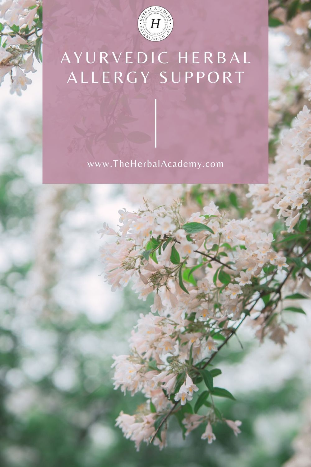 Herbal Allergy Support Using Ayurvedic Herbs | Herbal Academy | Allergies can manifest in many ways. Learn about ayurvedic herbal allergy support to take steps toward greater balance and optimum wellness. 