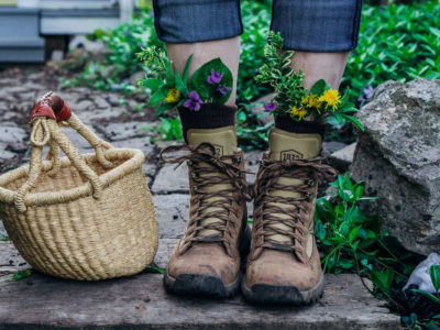 Introducing Our NEW Foraging Class! | Herbal Academy | To make the most of sweet summertime, we’ve got just the challenge to keep you engaged and exploring all season long: a foraging class!