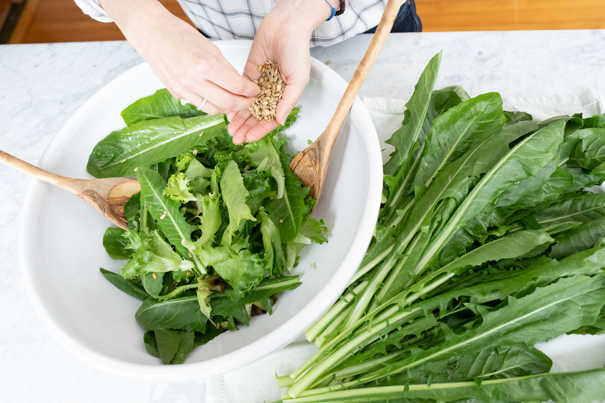 Introducing Our NEW Foraging Class! | Herbal Academy | To make the most of sweet summertime, we’ve got just the challenge to keep you engaged and exploring all season long: a foraging class!