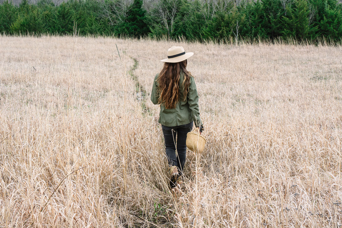 Introducing Our NEW Foraging Class! | Herbal Academy | To make the most of sweet summertime, we’ve got just the challenge to keep you engaged and exploring all season long: a foraging class!