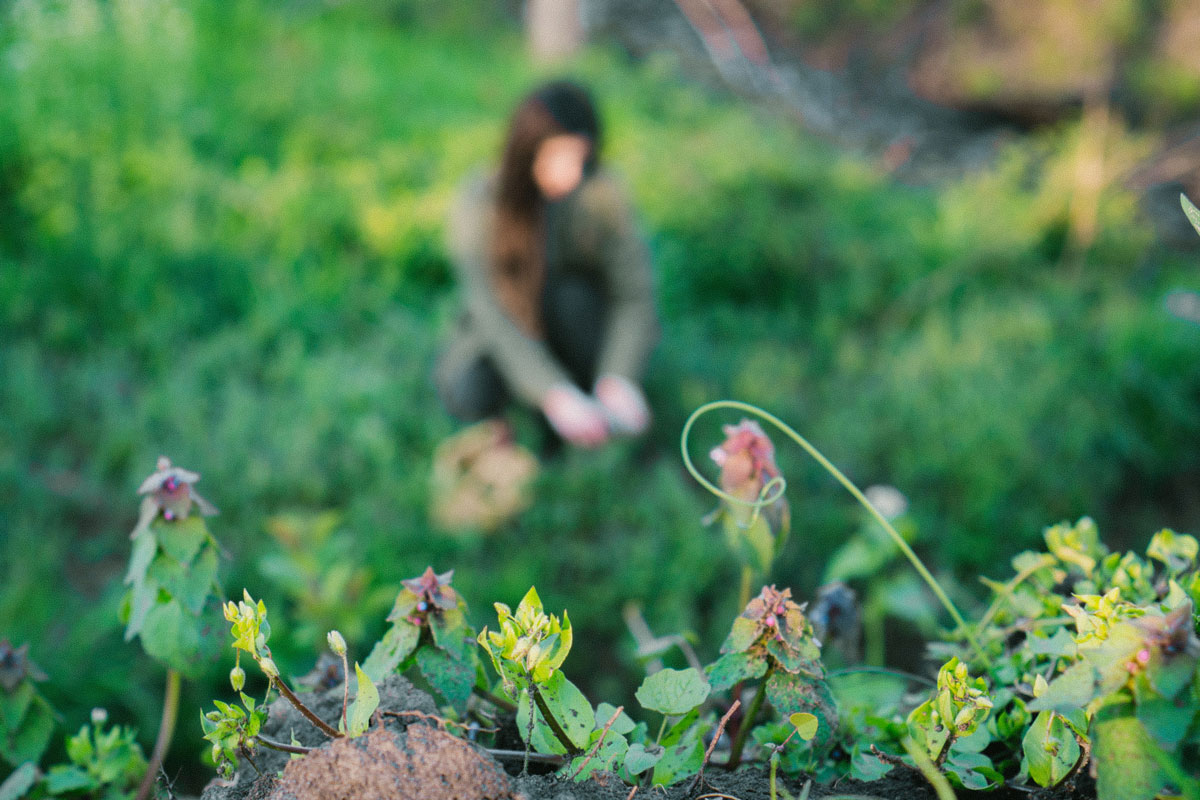 7 Reasons to Forage Wild Food and Herbs | The Herbal Academy | Foraging is a way to re-learn that nature provides an abundance of wild food and herbs that can be consumed for sustenance or wellness—or both! 