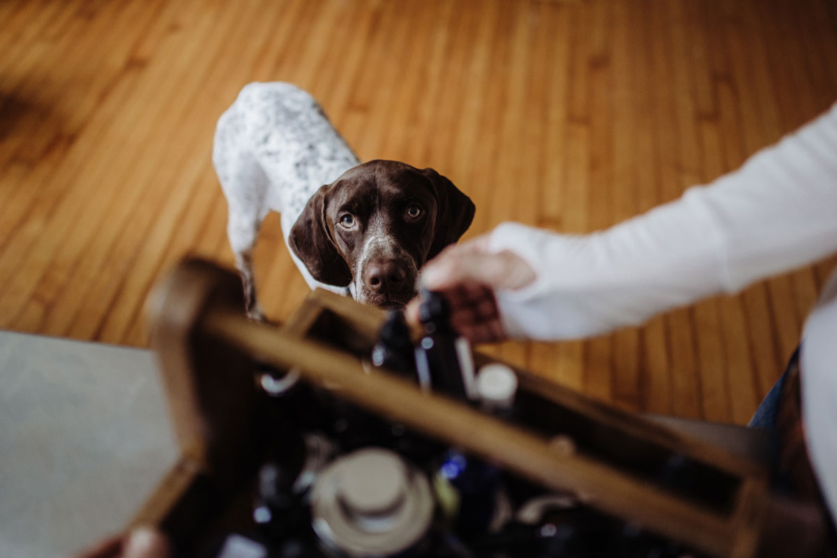 woman pulling out herbal medicine for dog