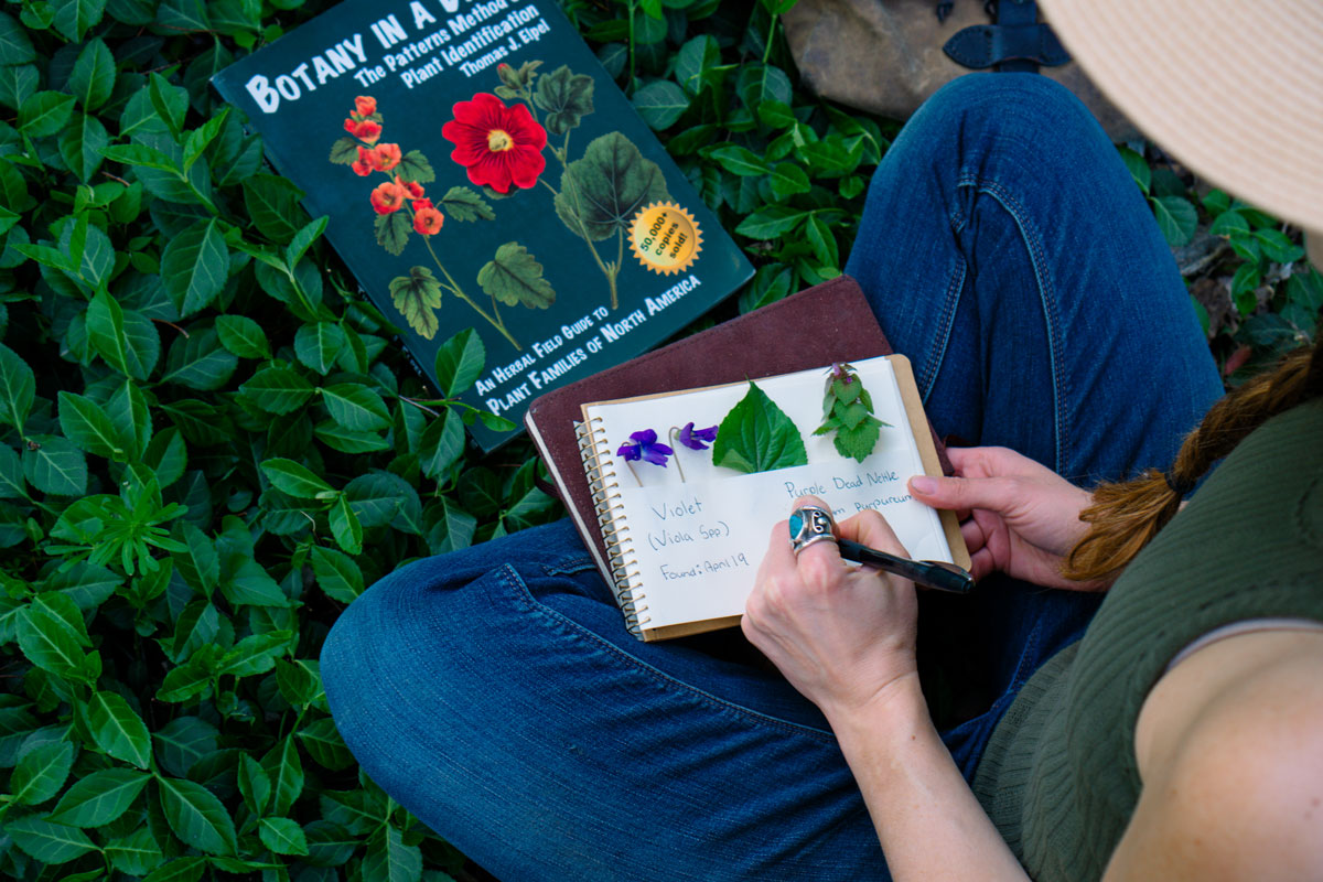 7 Reasons to Forage Wild Food and Herbs | The Herbal Academy | Foraging is a way to re-learn that nature provides an abundance of wild food and herbs that can be consumed for sustenance or wellness—or both! 