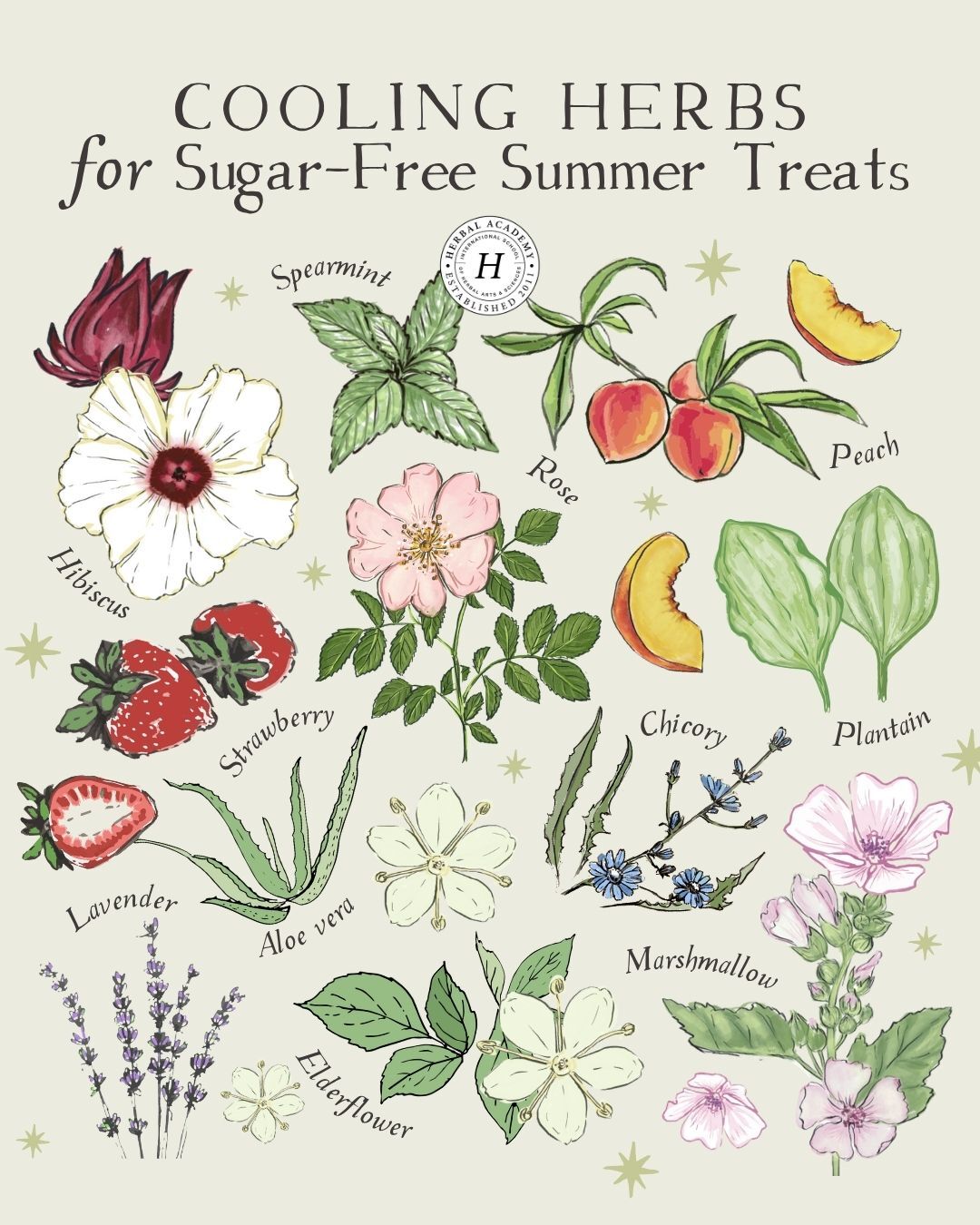 Herbal Academy's free ebook features plant monographs and simple recipes for seven of the most widely available, cooling herbs of summer.