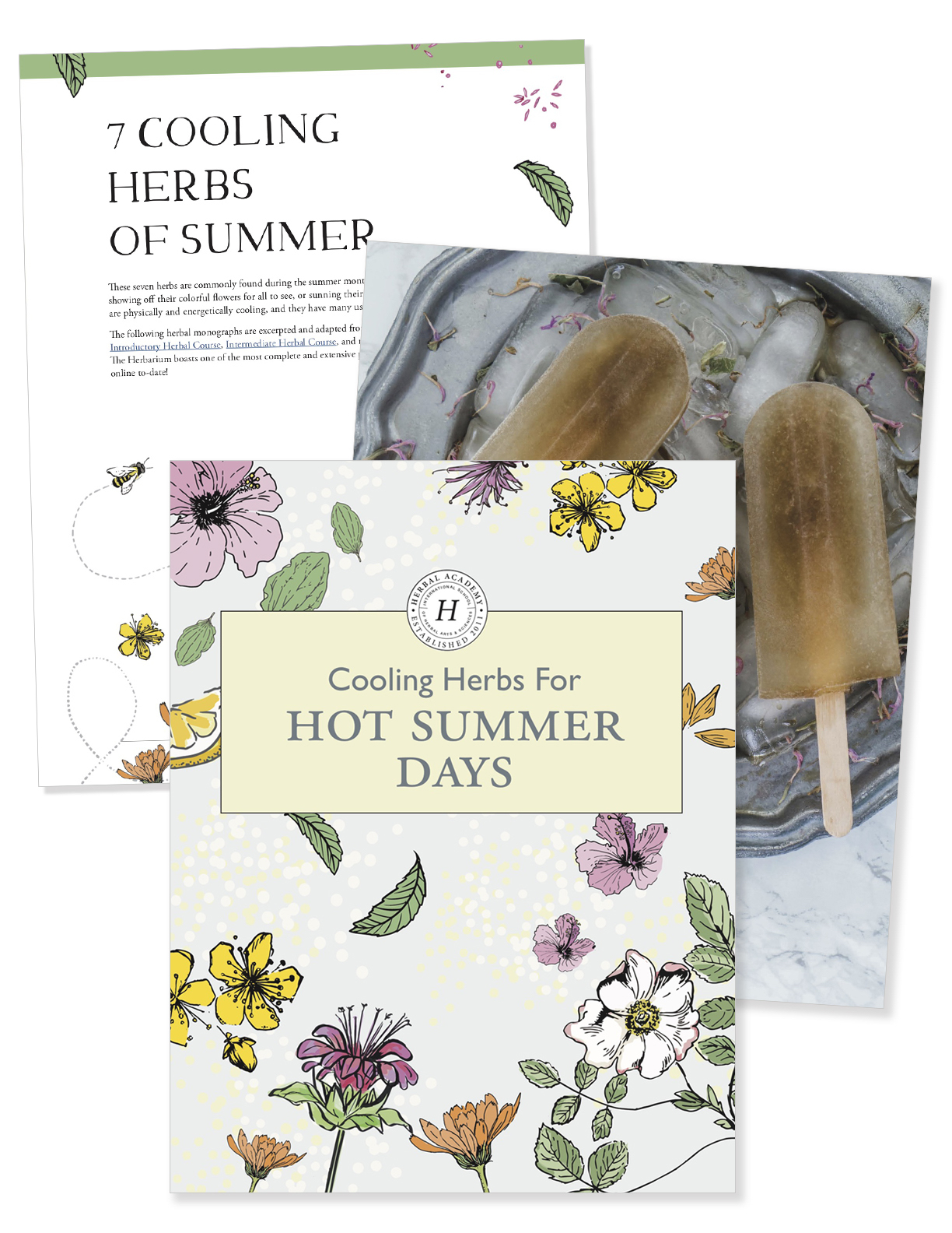 New eBook! Cooling Herbs for Hot Summer Days | Herbal Academy | Herbal Academy's free ebook features plant monographs and simple recipes for seven of the most widely available, cooling herbs of summer.