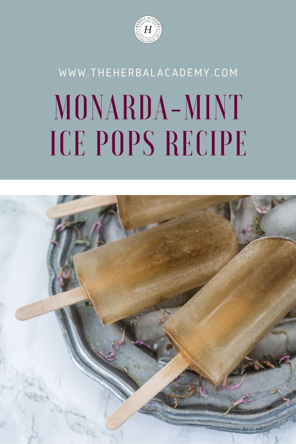 Refreshing Monarda-Mint Ice Pops Recipe | Herbal Academy | Herbal Academy's Refreshing Monarda-Mint Ice Pops recipe offers a simple and delicious dessert that your whole family is sure to love.