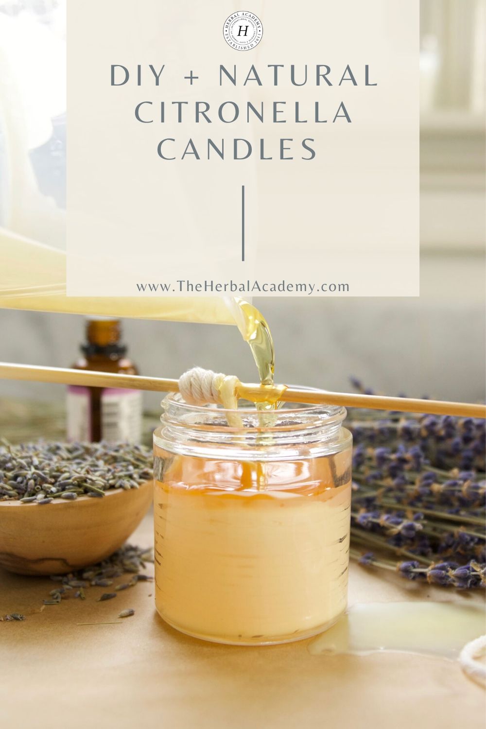 DIY Natural Citronella Candles | Herbal Academy | Learn how to make citronella candles from beeswax, essential oils, and dried herbs to repel mosquitoes, flies, and other insects.